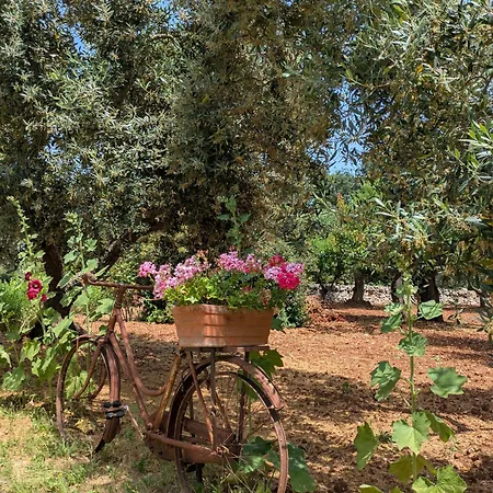 Trulli Papavero بيت للعطل لوكوروتوندو