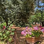 Σπίτι διακοπών Trulli Papavero